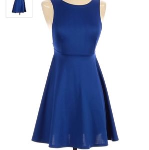 Cobalt Blue Skater Dress